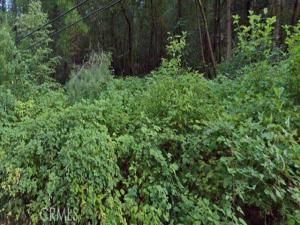 MLS #LC25187380 image #0