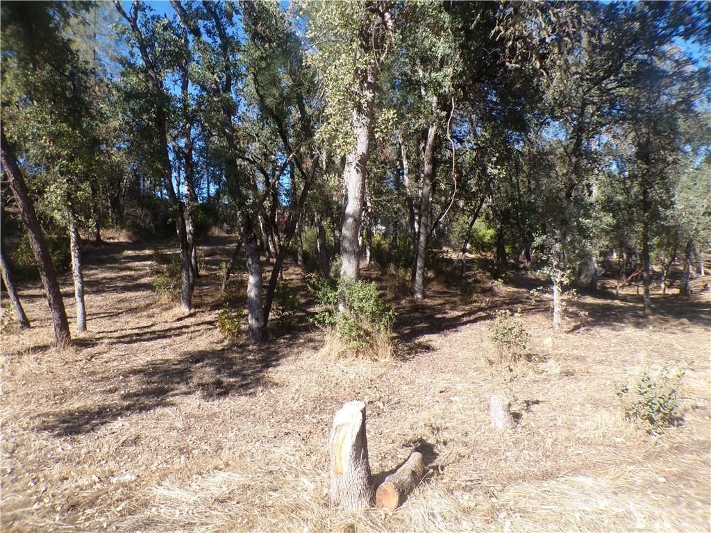 MLS #LC25190969 image #0