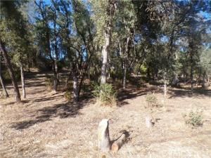 MLS #LC25190969 image #0