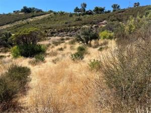 MLS #LC25195740 image #0