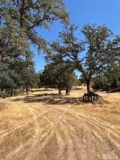 MLS #LC25204459 image #0