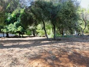 MLS #LC25208251 image #0