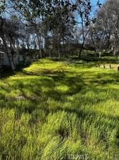 MLS #LC25215121 image #0