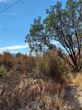 MLS #LC25221754 image #0