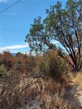 MLS #LC25221754 image #0