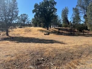 MLS #LC25223423 image #0