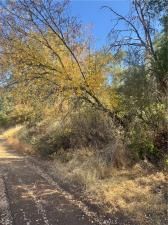 MLS #LC25225177 image #0