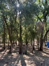 MLS #LC25226524 image #0