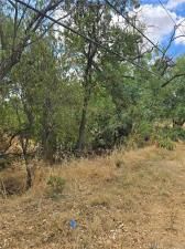 MLS #LC25233077 image #0