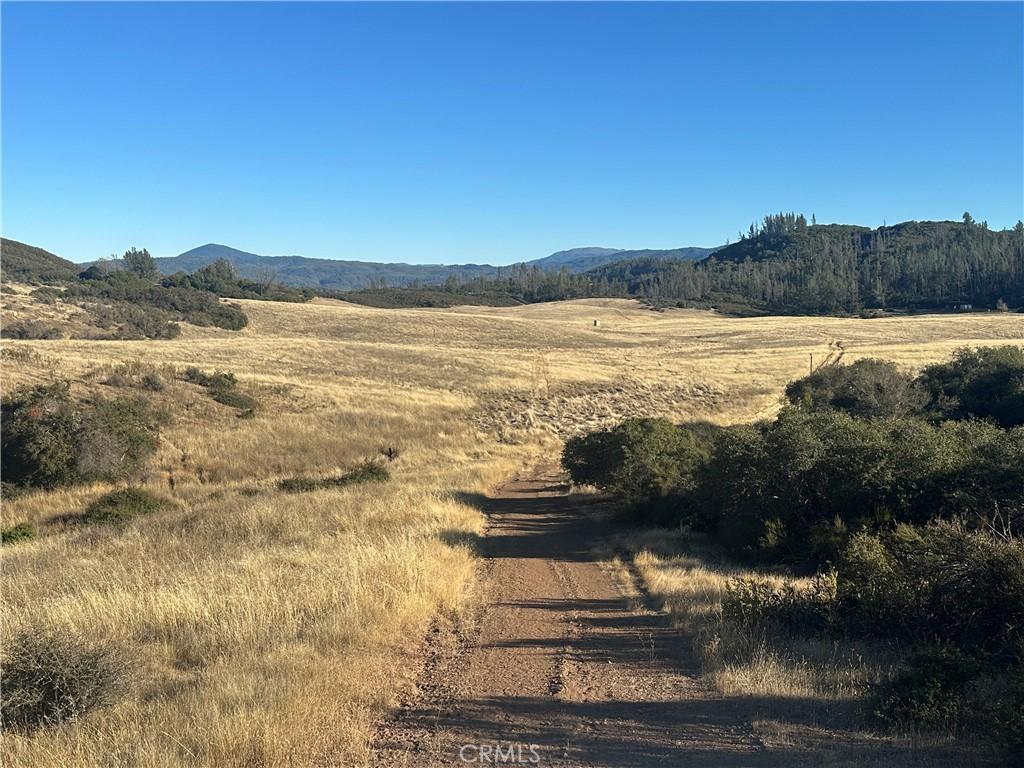 MLS #LC25241787 image #0