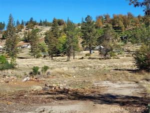 MLS #LC25249426 image #0