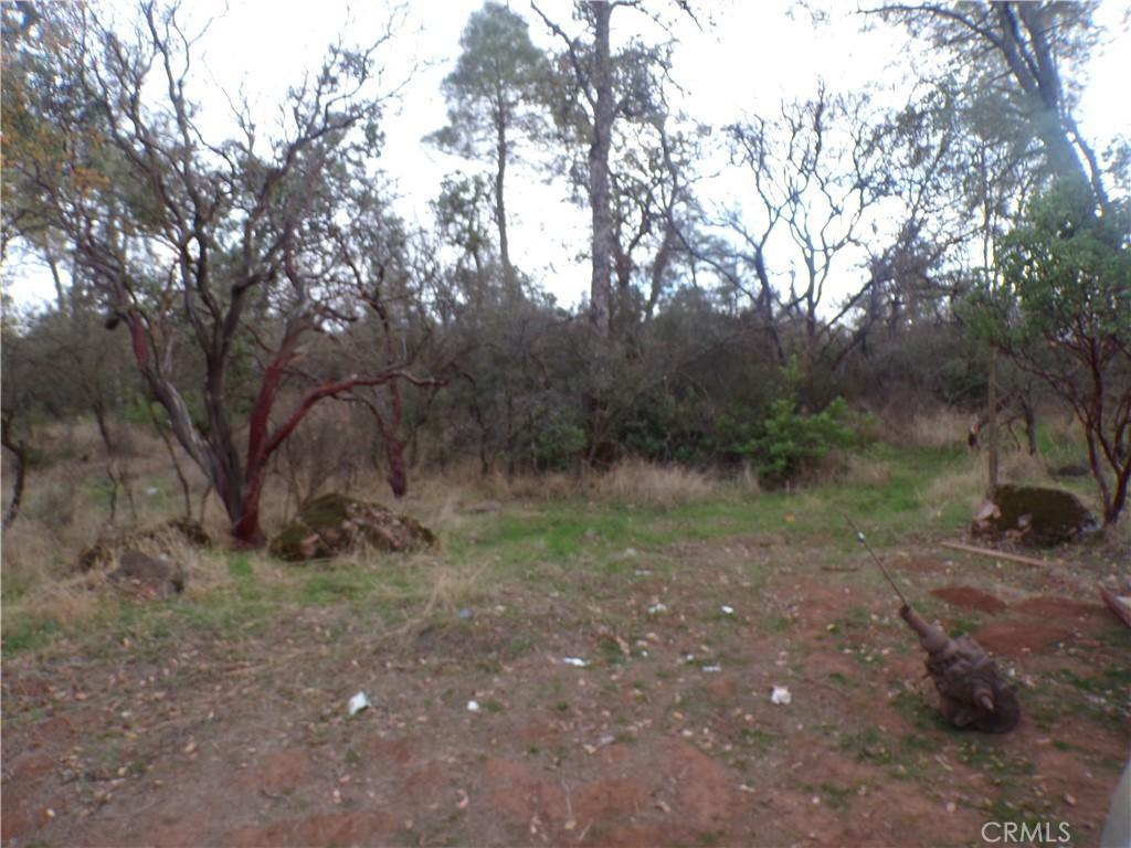 MLS #LC25254259 image #0