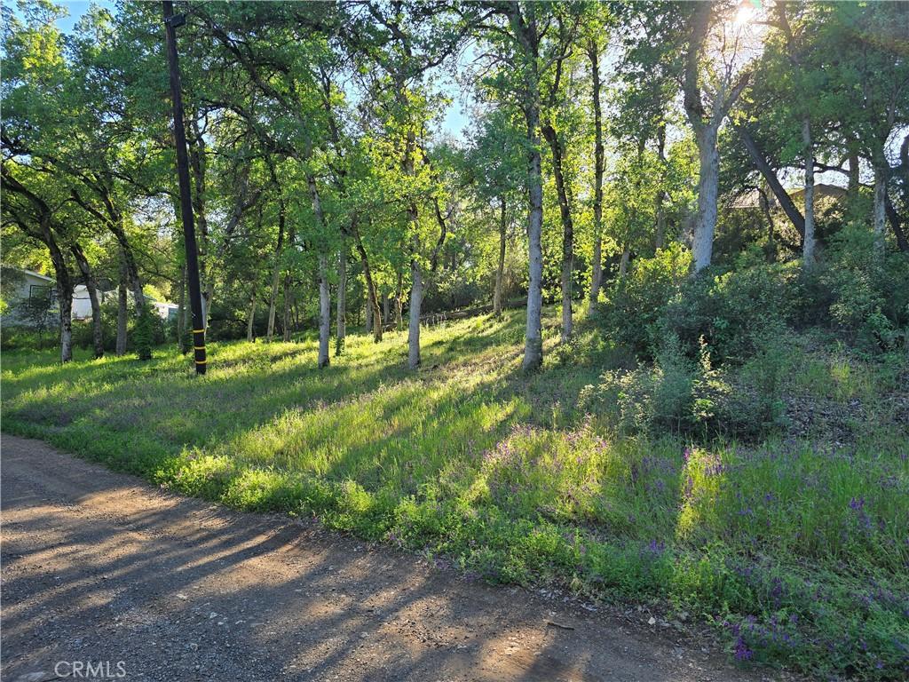 MLS #LC26072262 image #0