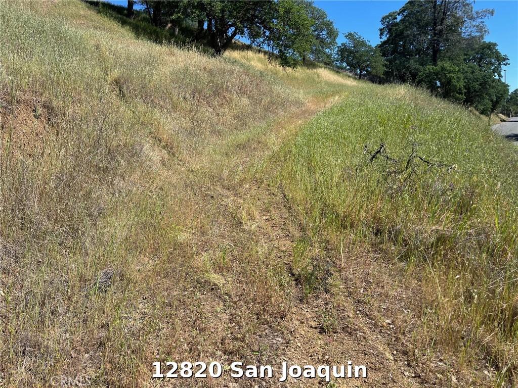 MLS #LC26073704 image #0