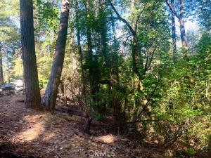 MLS #LC26081377 image #0