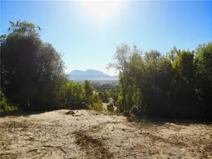 broker reciprocity
