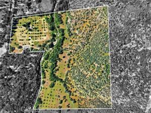 MLS #LC26109527 image #0