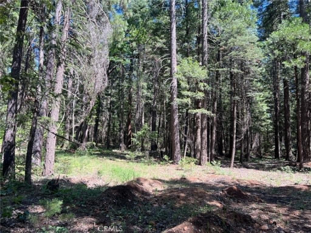 MLS #LC26112841 image #0