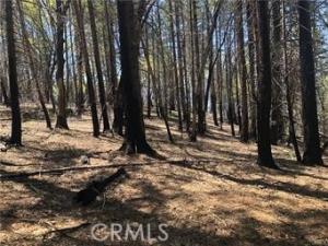 MLS #LC26114662 image #0