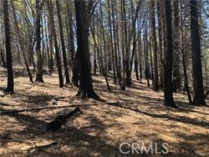MLS #LC26114662 image #0