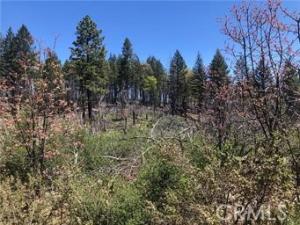 MLS #LC26114679 image #0