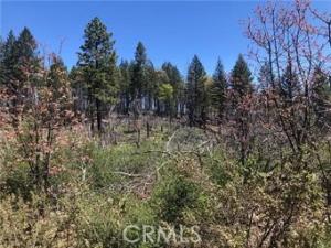 MLS #LC26114679 image #0