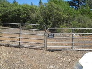 MLS #LC26143127 image #0