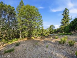 MLS #LC26146982 image #0