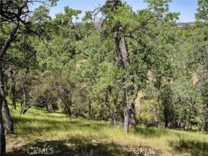MLS #LC26156301 image #0