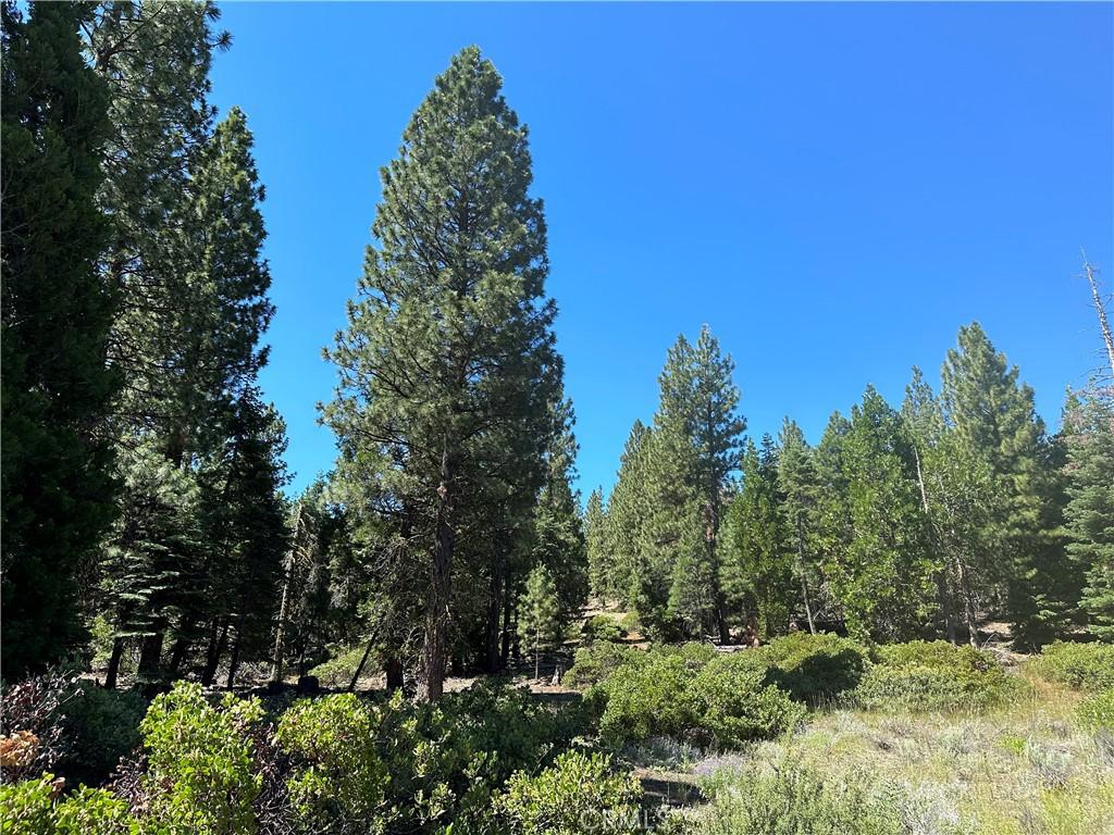 MLS #LC26158925 image #0