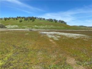 MLS #LC26170199 image #0