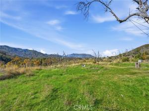 MLS #LC26174293 image #0