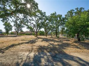 MLS #LC26174401 image #0