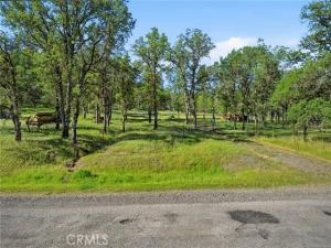 19425 Stinson Hidden Valley Lake CA 95467 | MLS #LC26212476 21 MLS #LC26212476 image #0