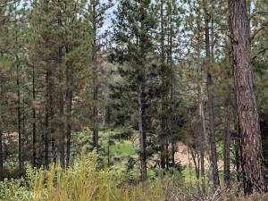 MLS #LC26221816 image #0