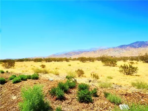 broker reciprocity