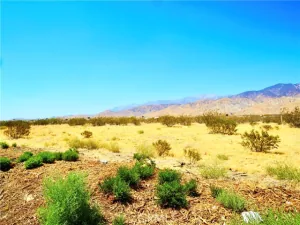 broker reciprocity