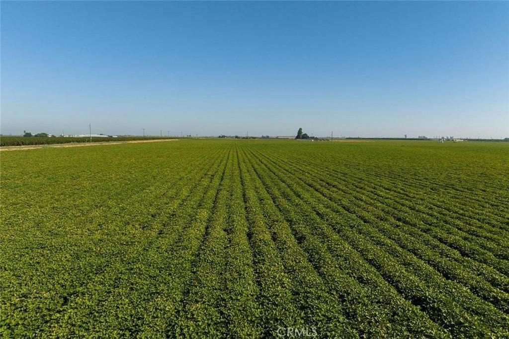 MLS #MC25120760 image #0