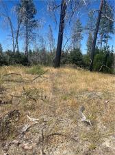 122 Simpson Ranch RD Berry Creek CA 95916 | MLS #MC25147110 41 MLS #MC25147110 image #0
