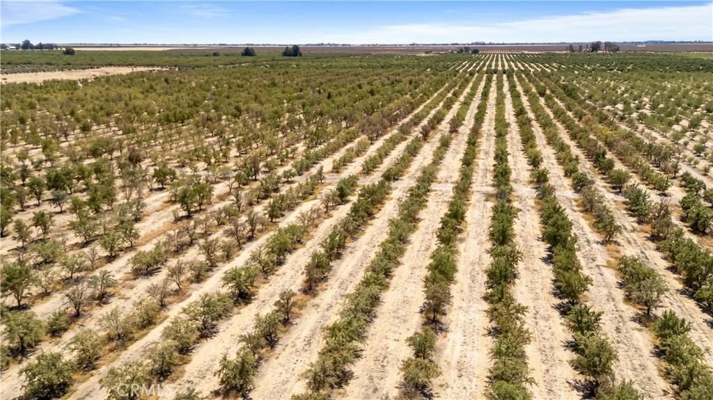 MLS #MC25188936 image #0