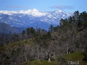 MLS #MD25259196 image #0