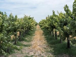 MLS #ML81897436 image #0