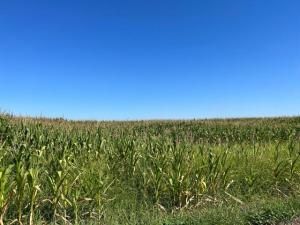 MLS #ML81908559 image #0