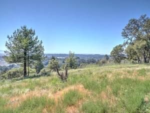 MLS #ML81910744 image #0