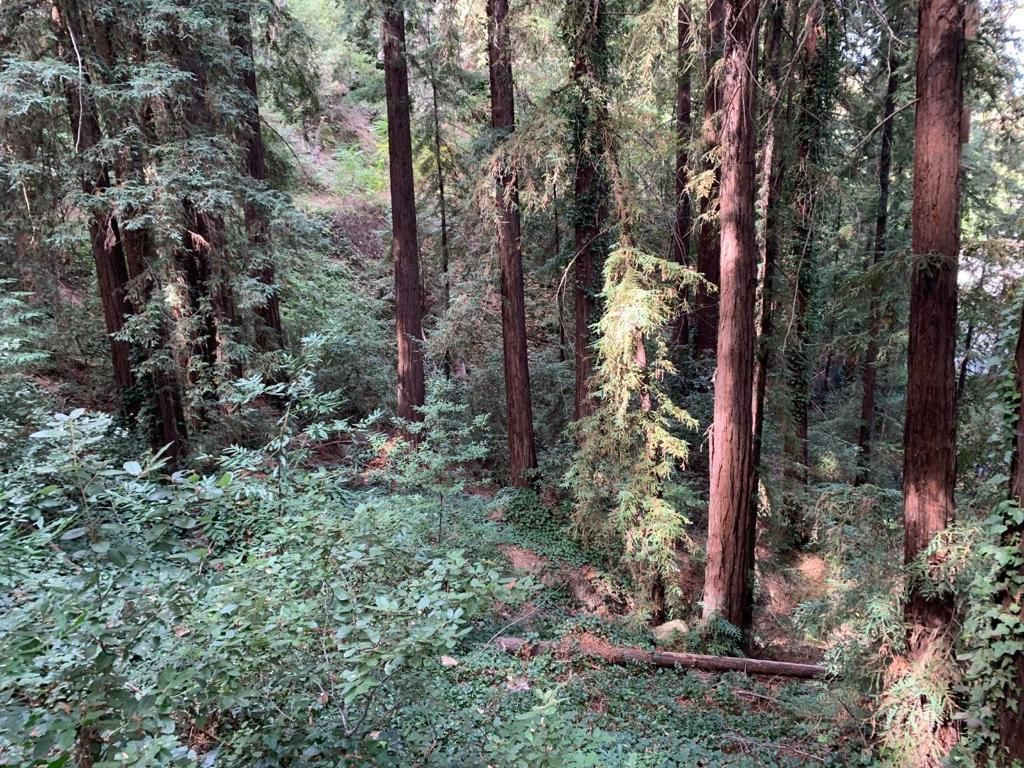 MLS #ML81912347 image #0