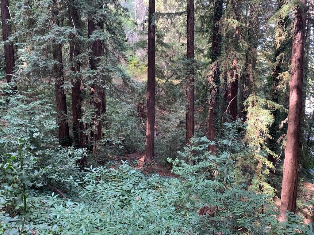 MLS #ML81912636 image #0