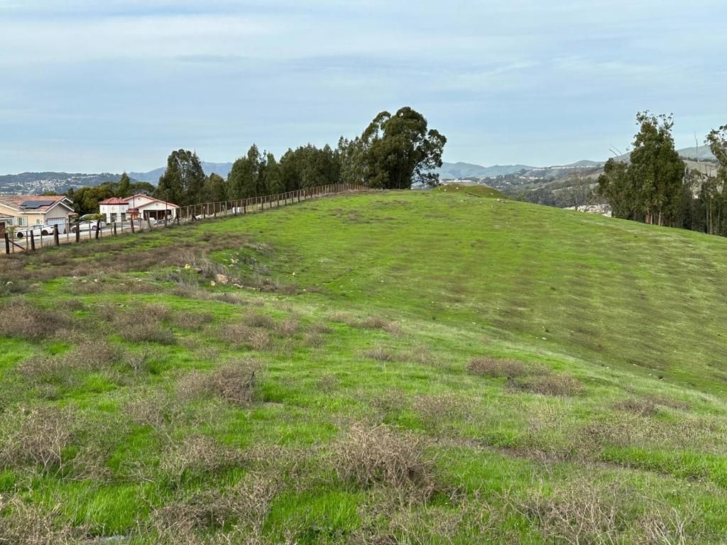 MLS #ML81916144 image #0