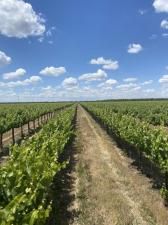 MLS #ML81916456 image #0