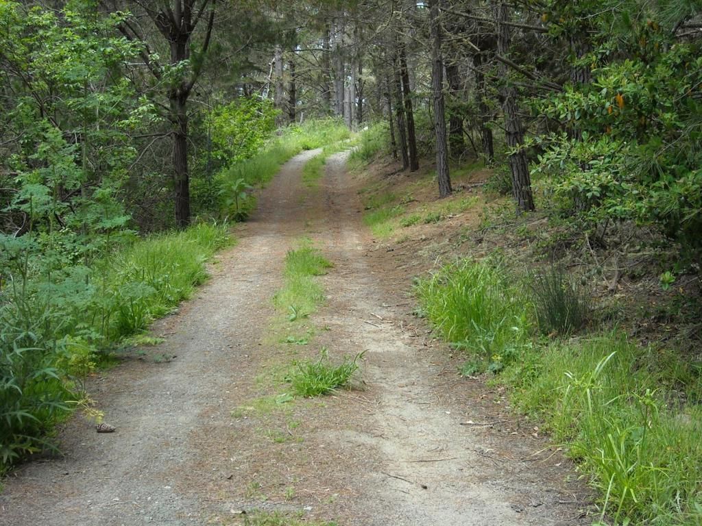 MLS #ML81930827 image #0