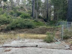 MLS #ML81944575 image #0